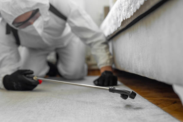 Professional Mosquito Control technician working in Splendora, TX