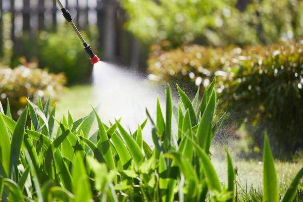 24/7 Emergency Mosquito Control experts in Splendora, TX