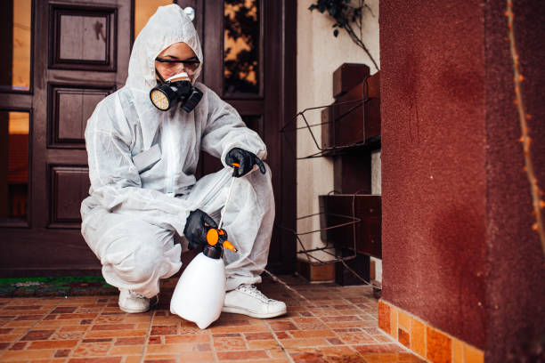 Reliable Mosquito Control contractor in Splendora, TX by Nex Pest Control